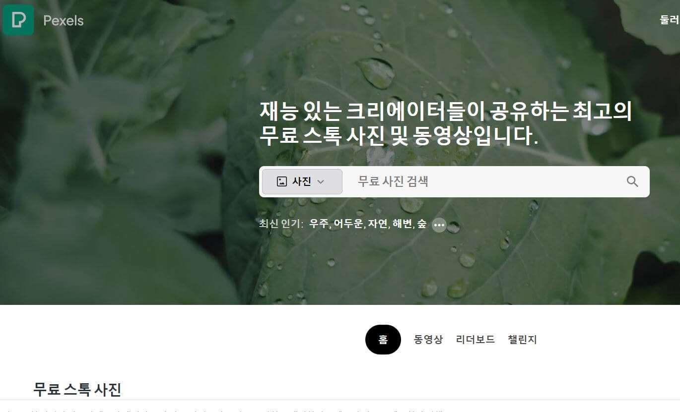 무료 이미지 사이트 추천-픽셀