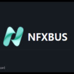 NFXBUS 사이트 이용방법