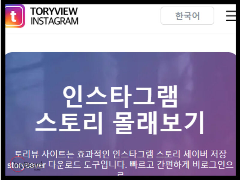 토리뷰 인스타 염탐 사이트